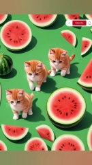 "What’s Inside This Fluffy Surprise? 🐾"