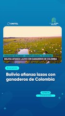 Bolivia afianza lazos con ganaderos de Colombia