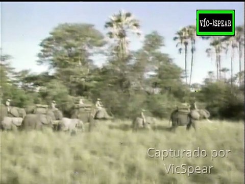 De Sol a Sol: Montando Elefantes en Botswana - Documental (1996) Español Latino *Episodio 4