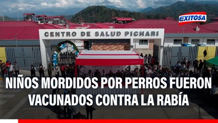 Niña que fue mordida por perro con rabia fue finalmente vacunada, informa Defensoría en Pichari