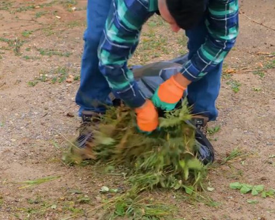 Your Fall Garden Prep Guide