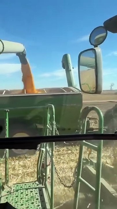 50 Days of Harvest  We’re Done! (Part 2)#LauraFarms  #farmer  #farmer...