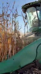 The MILLION Dollar Harvest Machine (Part 3)#LauraFarms #farmer  #farm...
