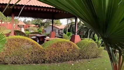 Rakesh Rajkot Best Yoga & Wellness Retreats in Gujarat – Top Destinations to Rejuvenate