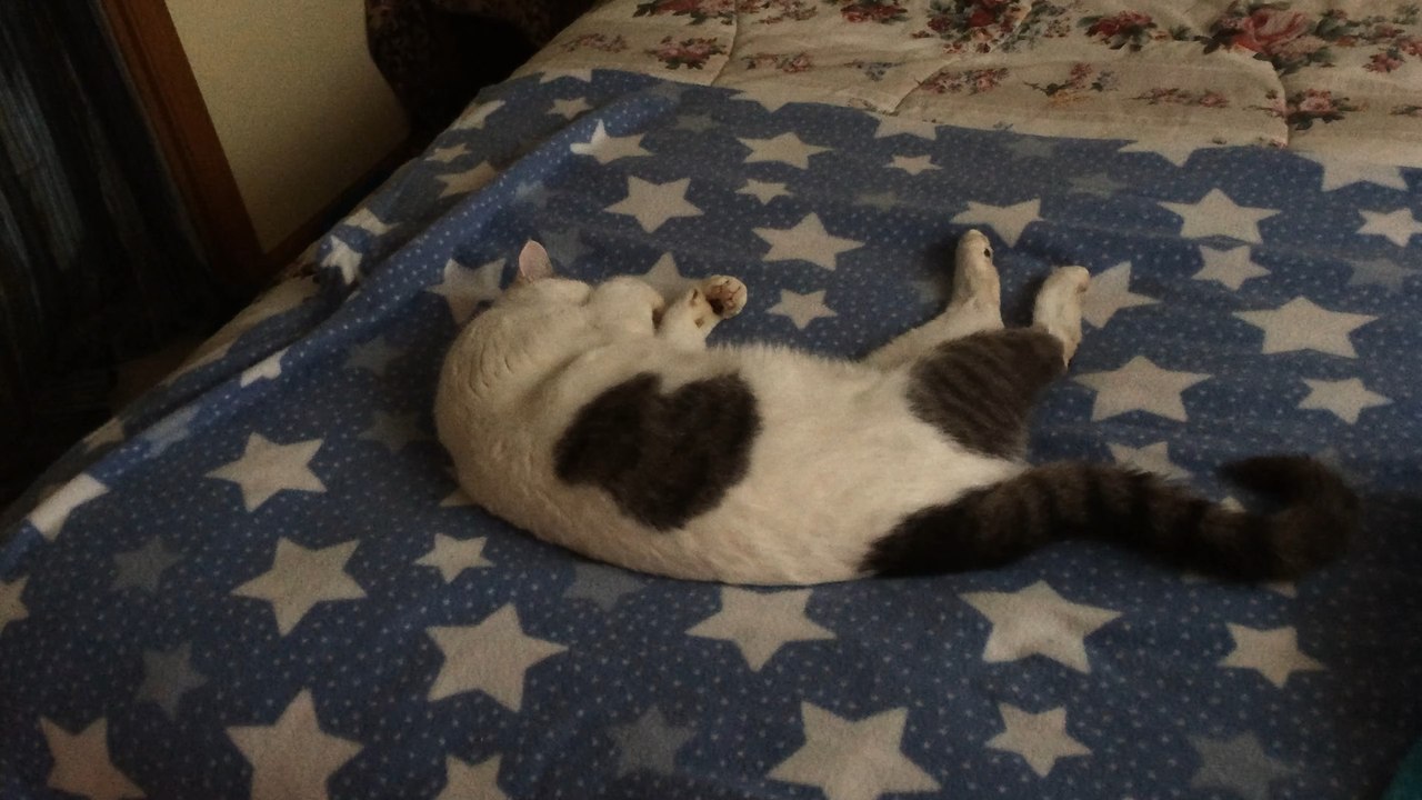 Too cute for words