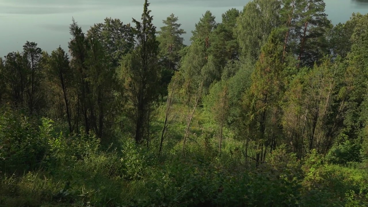 Kadagių slėnis