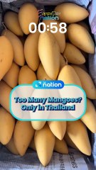 Too Many Mangoes? Only in Thailand