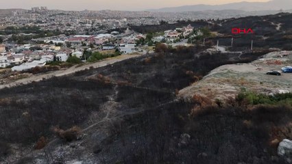 İzmir'deki orman yangınında yanan alanlar havadan görüntülendi