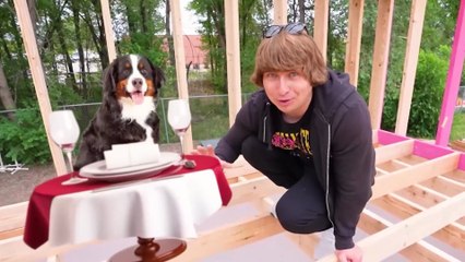 I Built a 5-Star Luxury Dog Hotel | Mr beast |