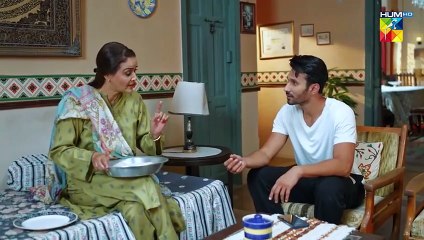 Judwa_ Episode 26 / Pakistani drama / HUM TV