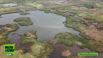 Invasores amenazan el Área Natural Protegida del ex lago de Texcoco