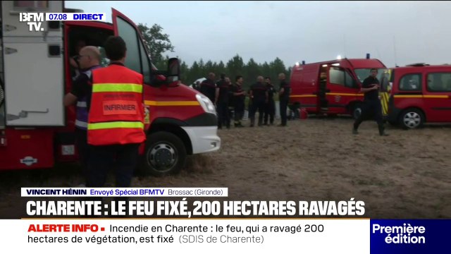 Charente: l'incendie qui a ravagé 200 hectares de végétation est fixé