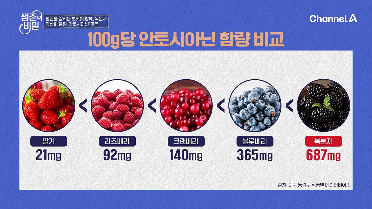 혈관 3고에 합병증 공포가 있던 그녀! 혈관 건강 회복 생존 프로젝트