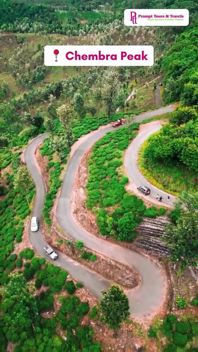 5 Must-Visit Places in Wayanad – Your Travel Guide from Top Travel Agents in Chennai