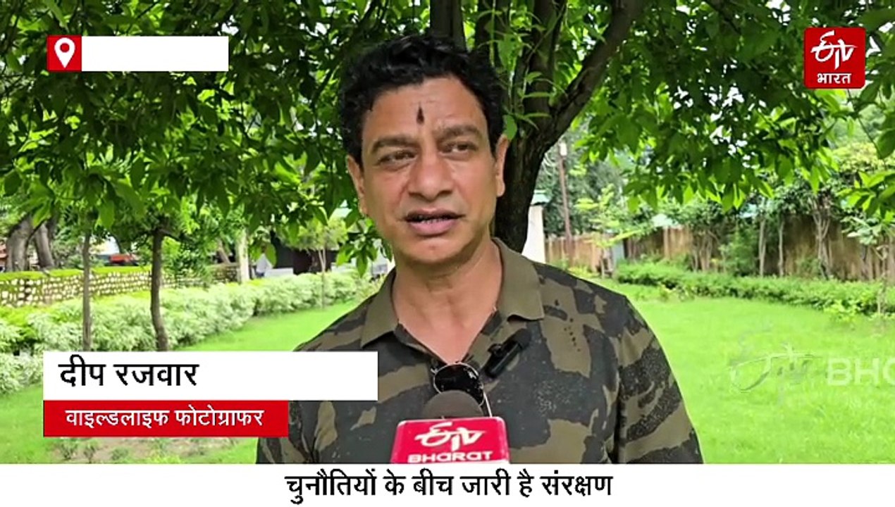 कॉर्बेट टाइगर रिजर्व में बढ़ रहा हाथियों का कुनबा, 1260 पहुंचा आंकड़ा, चुनौतियों के बीच जारी है संरक्षण