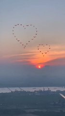 Feel the seen ❤️ plz like 😍😘