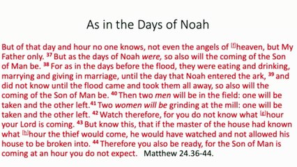 Lessons from Noah - Part 1