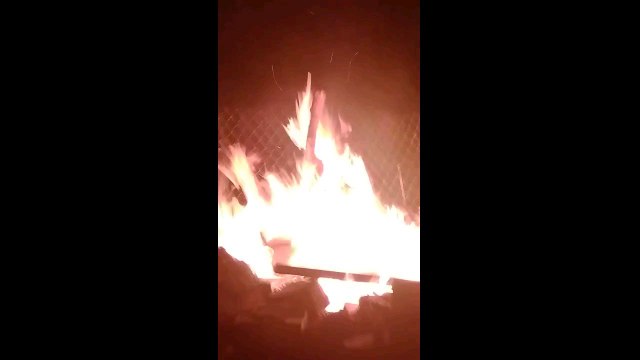 night of the meteor showers