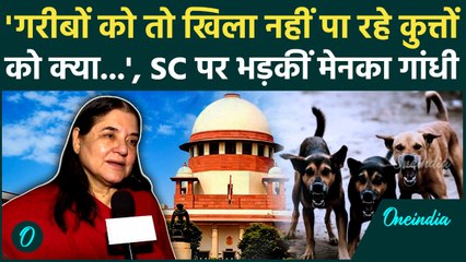 Street Dogs पर SC की सख्ती पर भड़की Maneka Gandhi, बोलीं, Delhi-NCR में ये करना Impractical