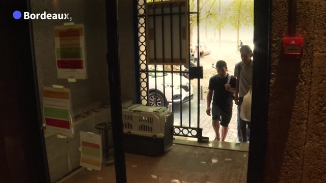 Canicule : une salle fraîche et des douches pour les sans-abri à Bordeaux