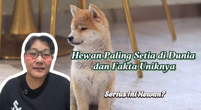 Hewan Paling Setia di Dunia dan Fakta Uniknya-Serius Ini Hewan?