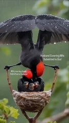 This is what a Godly home should be, a man submitted to God, taking on life’s struggles