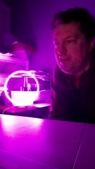 Tue 8/12/25 Update Seven - "Thank You To Everyone"