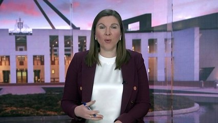 Opposition vows to revoke recognition of Palestine if elected