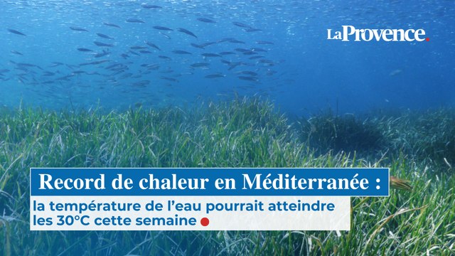 Canicule en Méditerranée : les températures de l'eau atteindront des niveaux historiques, jamais vues depuis 2003