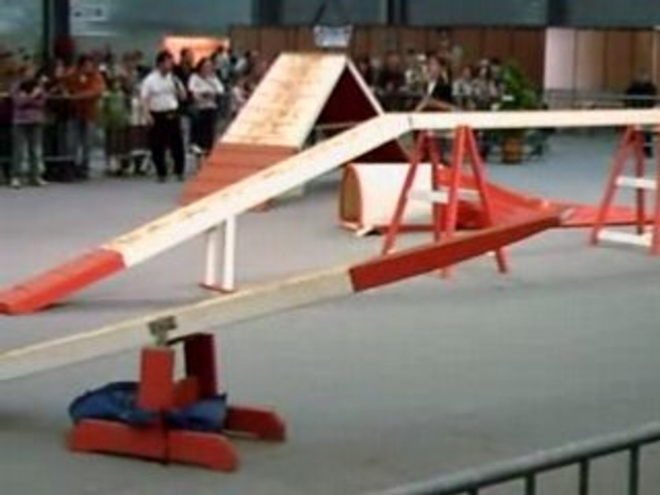FOIRE COMTOISE