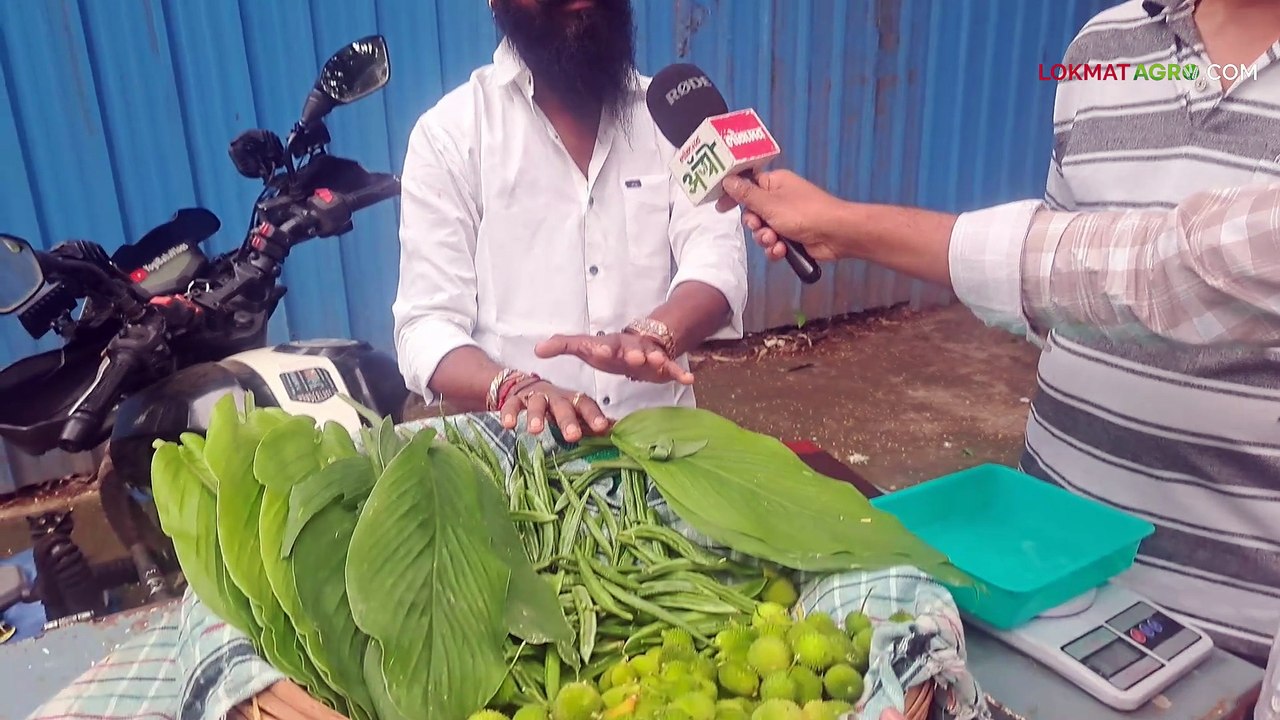 विषमुक्त शेतमाल थेट ग्राहकांना! कर्टुल्याची ४०० रू. किलोने विक्री करणारा युवा शेतकरी