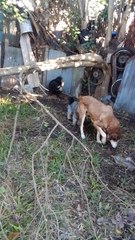 Linda mañana de Domingo en Tacuarembó 10/08/2025