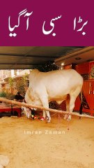 BARA SIBBI AGAYA😊