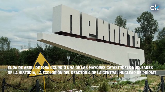 Los científicos no dan crédito tras analizar a los animales de Chernóbil y sentencian: No son perros