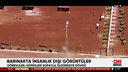 Barınakta insanlık dışı görüntüler: Köpekleri öldüresiye dövdüler, sopayla yere fırlattılar!