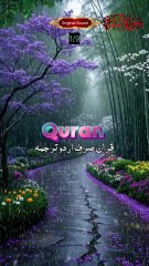 الحمدللہ اج سے قران پاک شروع کیا جا رہا ہے جس میں روزانہ چند ایتوں کا ترجمہ پیش کیا جائے گا اگر زندگی نے وفا کی تو پورا قران پاک پیش خدمت ہوگا انشاء اللہ