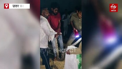 WATCH; सोनभद्र में दिखा 10 फीट लंबा अजगर; देखें, कैसे वन विभाग की टीम ने पकड़ा