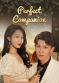 Perfect Companion Chinese Drama