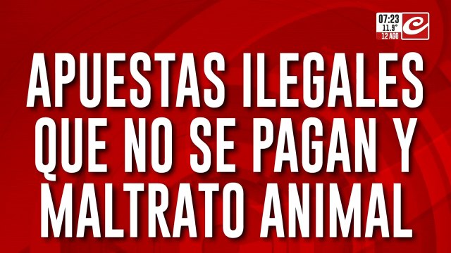 Carrera ilegal de caballos termina en una tremenda batalla campal: hay heridos y detenidos