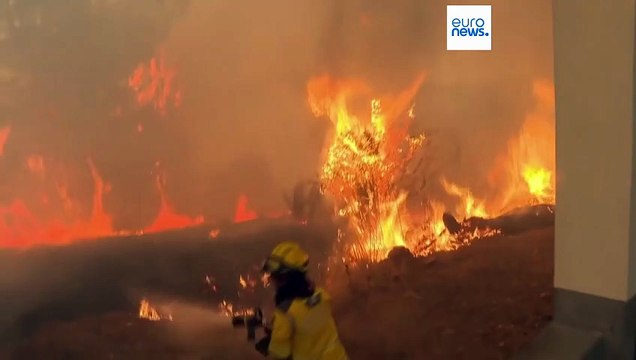 Incêndios e tornados de fogo: chamas não dão tréguas aos bombeiros portugueses