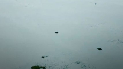 Bihar में Ganga-Kosi का तांडव... गांव डूबे!