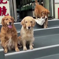 A beautiful moment frozen in time — filled with love, laughter, and togetherness."