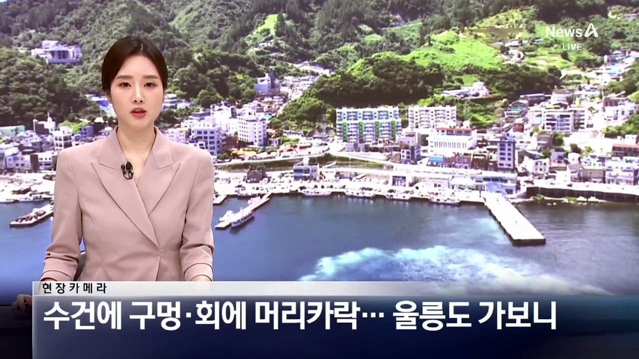 [현장 카메라]수건에 구멍·회에 머리카락…울릉도 가보니