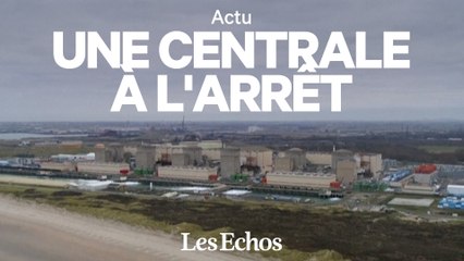 Pourquoi une centrale nucléaire française s’est arrêtée à cause de méduses