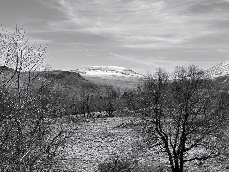 "Les ronces" by Vivien Marsh cover JL Murat