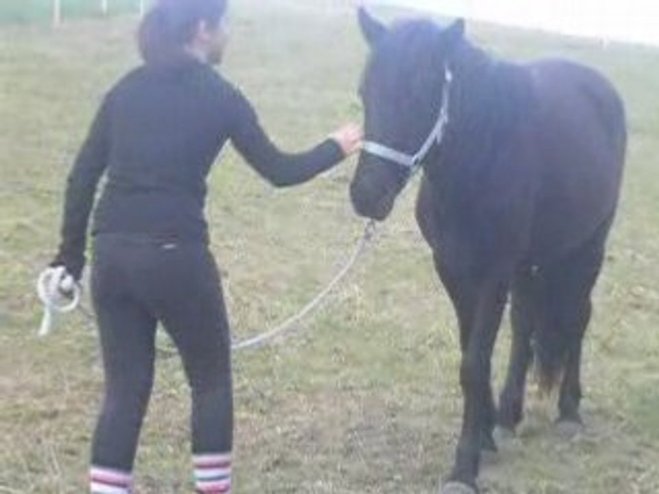 Sifflet et moi