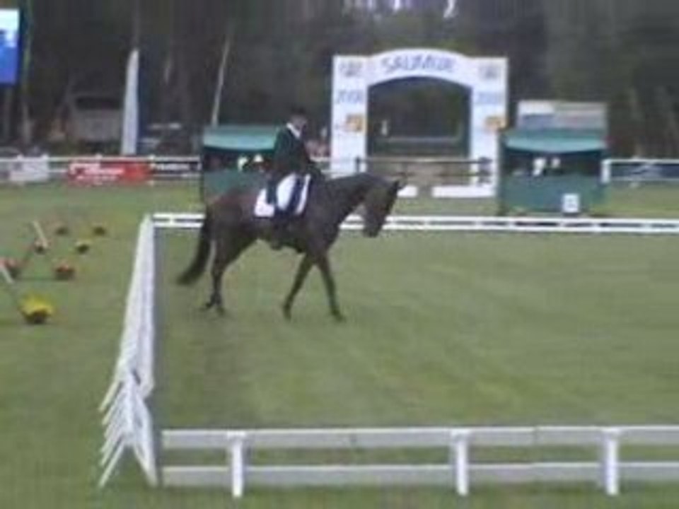 Dress clément faivre saumur 2008