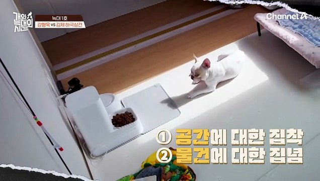 예감이 썩 좋지 않다? 늑대 1호의 집을 방문한 강형욱! 솔루션 전으로 돌아갔다고?!