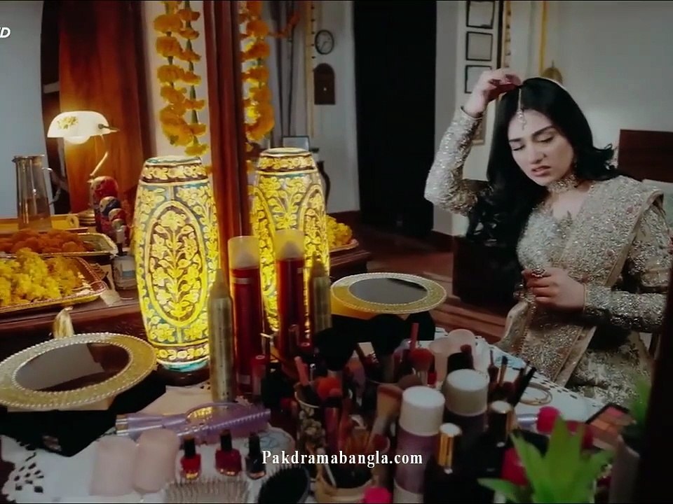 পাকিস্তানি ড্রামা শের পর্ব ১