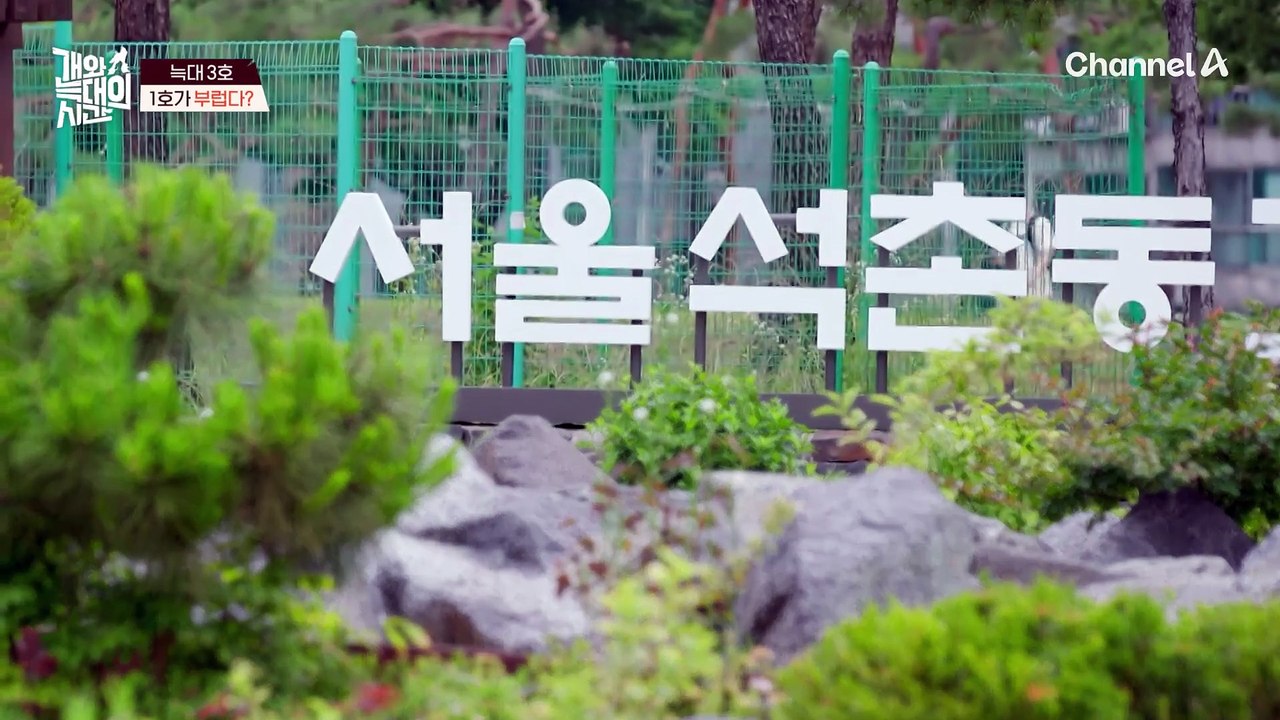 외출만 하면 보호자는 긴장한다! 눈만 마주쳐도 짖는 늑대 3호?!
